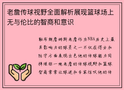 老詹传球视野全面解析展现篮球场上无与伦比的智商和意识