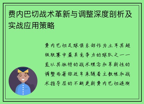 费内巴切战术革新与调整深度剖析及实战应用策略