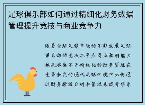 足球俱乐部如何通过精细化财务数据管理提升竞技与商业竞争力